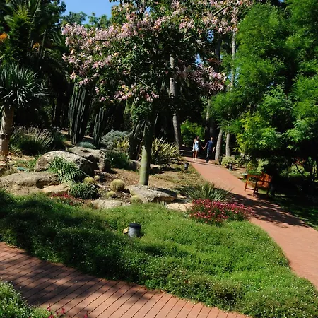 Termes Montbrio & מלון 4*